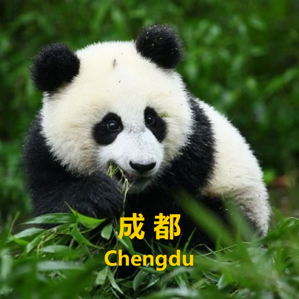 Chengdu and Chongqing tour