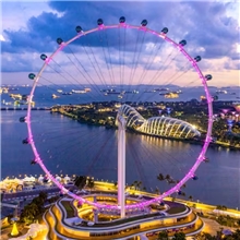 Singapore Flyer