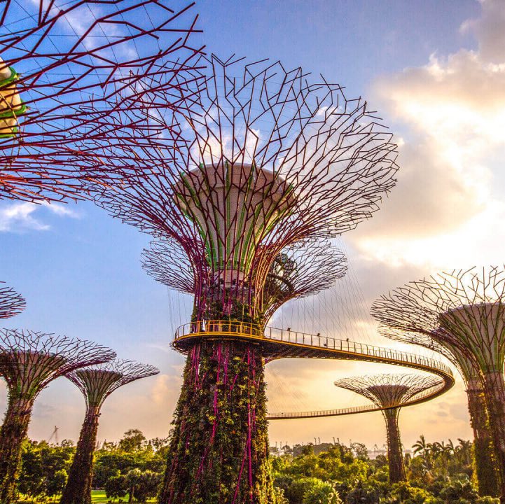 Gardens by the Bay