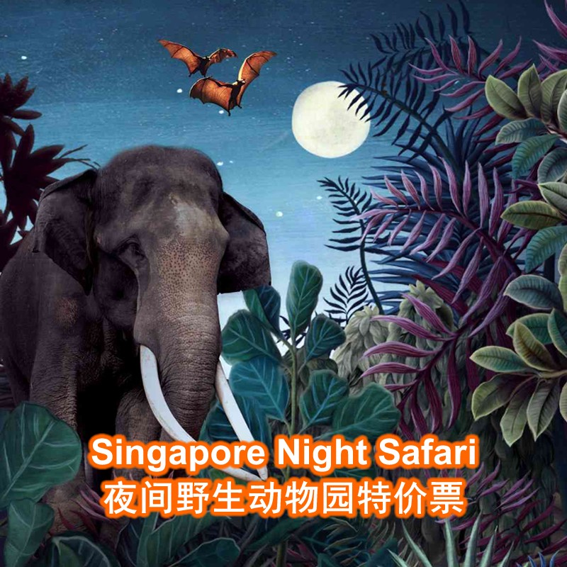 Night Safari Singapore