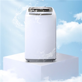 Washing Machine Cleaning Service