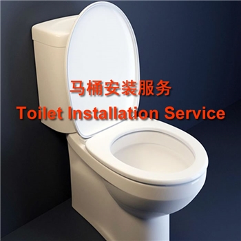 Toilet Installation Service