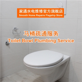 Toilet Bowl Plumbing Service, Toilet choke, how to unclog toilet