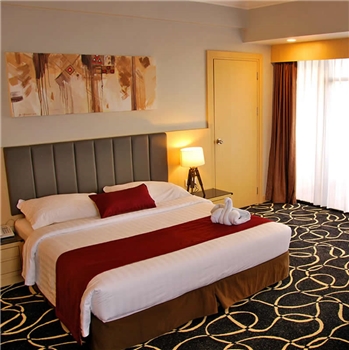 Planet Holiday Hotel Batam Tour Package