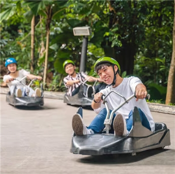 [2025] Skyline Luge Sentosa Admission Ticket